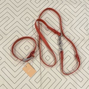 WildOne Collar and Leash Set